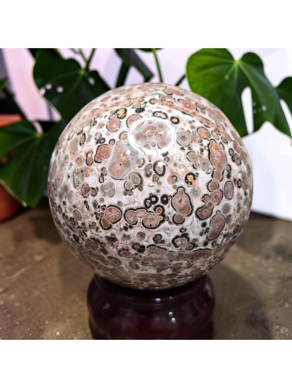 A277. Orbicular Ocean Jasper 59mm Natural Crystal Sphere Orb